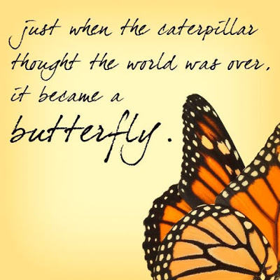 Top # 50+ Beautiful Butterflies Quotes - inspirationallovequotesimages.com